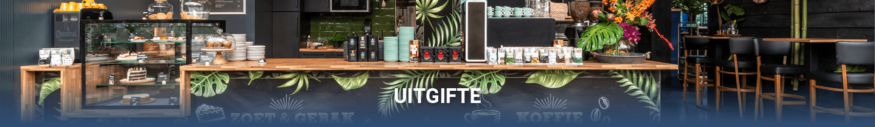 Visuals uitgifte overzichtpagina